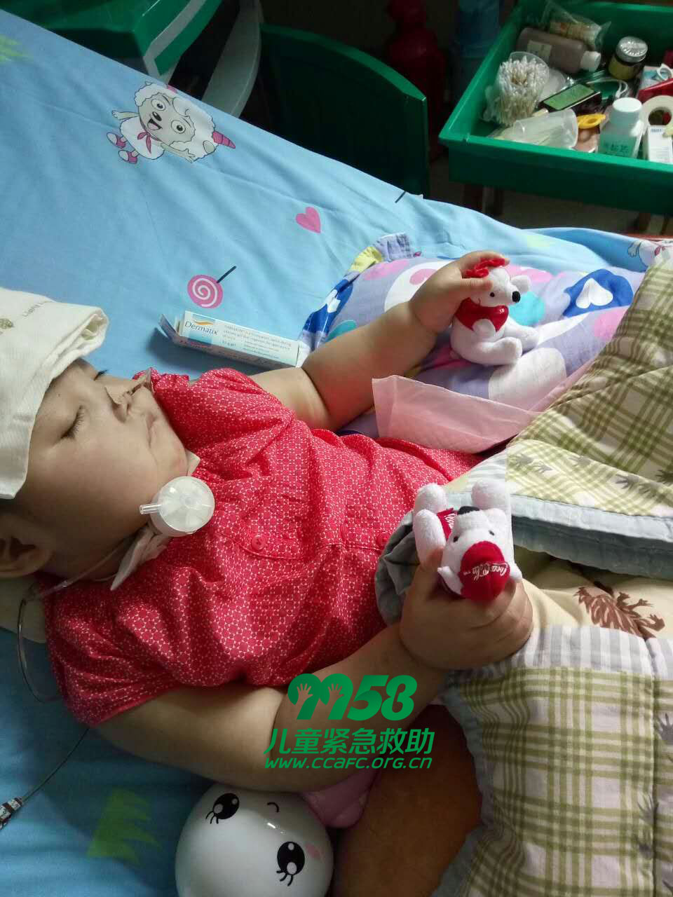 刘辛怡最新动态，聚焦个人成长与成就旅程