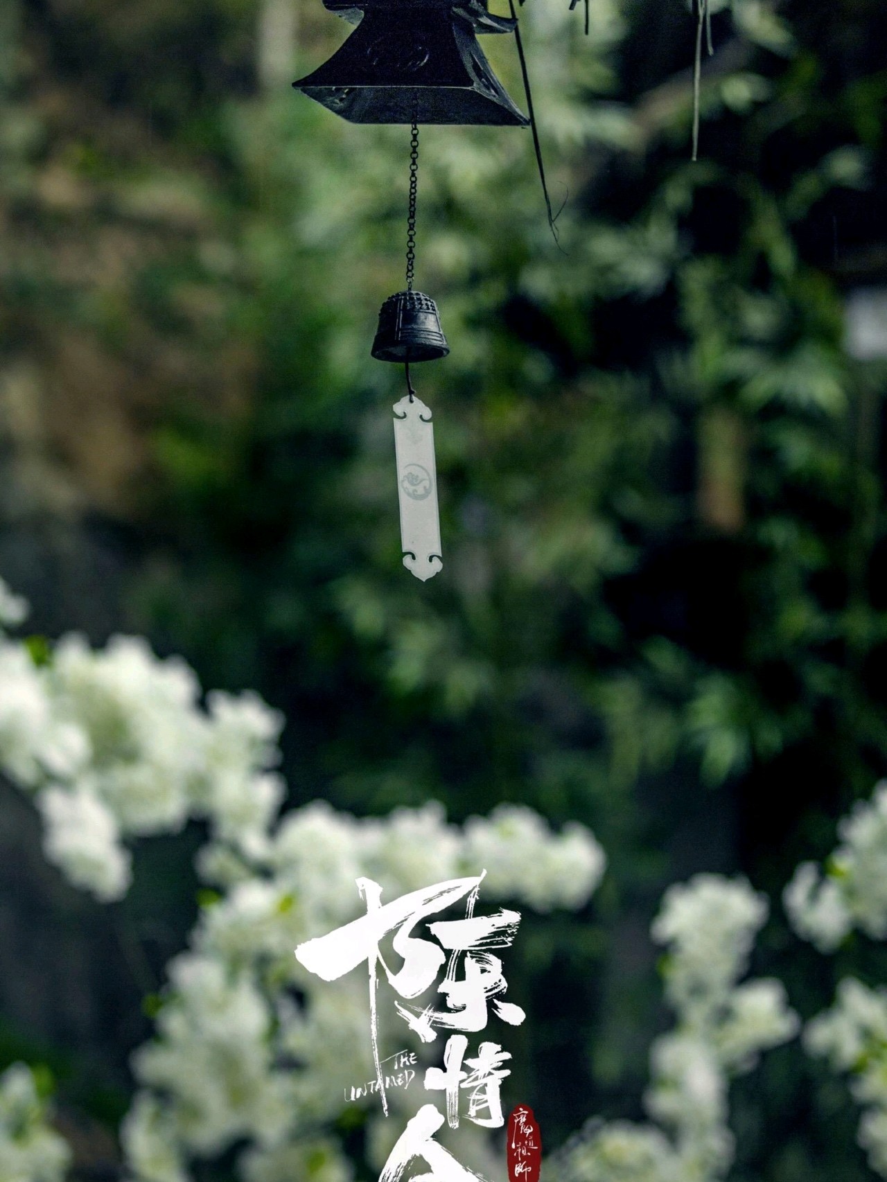 陈情令最新花，自然美景之旅，探寻内心宁静与平和的旅程