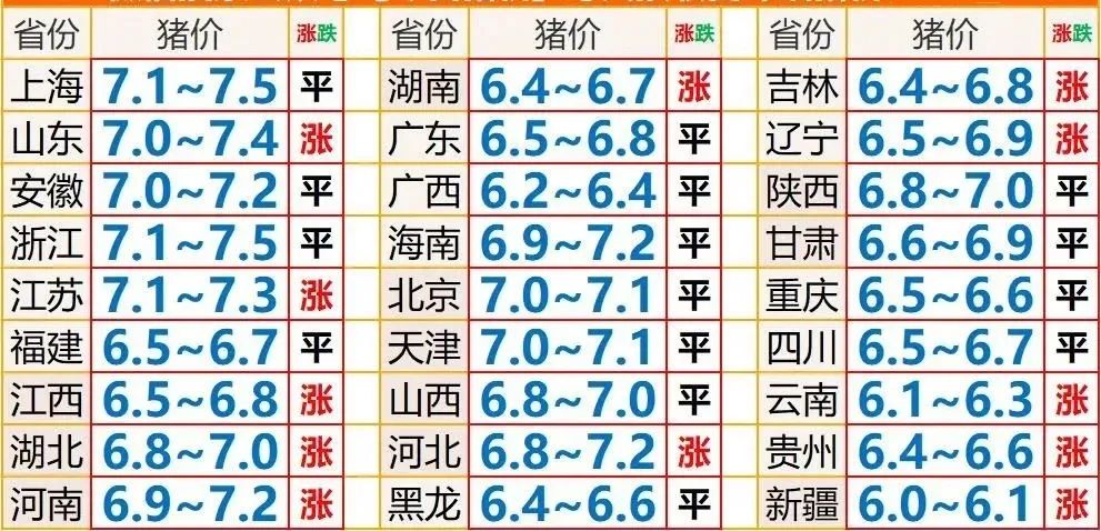 时代背景下的市场波动与影响，最新明天猪价分析