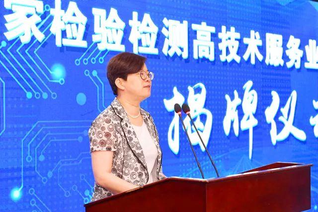 嘉兴科技城新动态，变革中的城市，未来希望之光闪耀启航