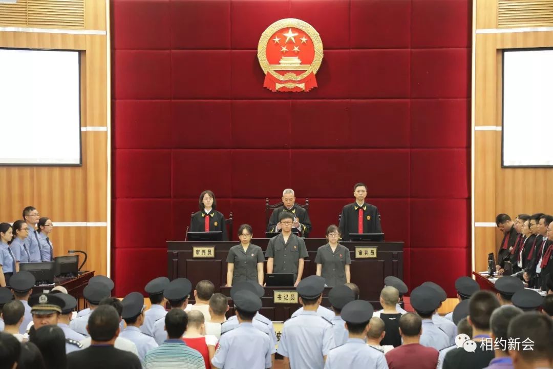 新会林崇中最新动态，全面解读与观点分享