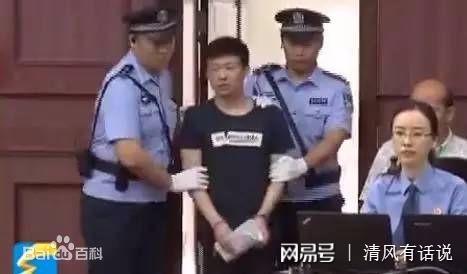 苏银霞事件最新进展与影响深度聚焦