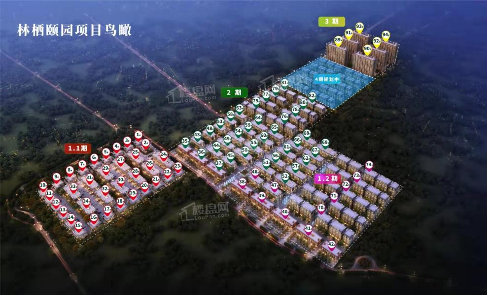 永清森林家园最新动态揭秘，森林中的日常趣事一网打尽！